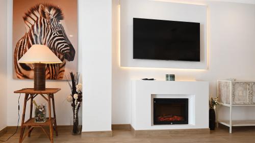 TV wall with electric fireplace and zebra artwork