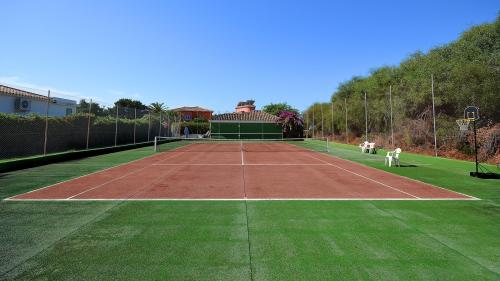 Privater Tennisplatz mit Basketballkorb