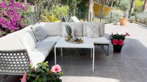 Terrace lounge area with garden view