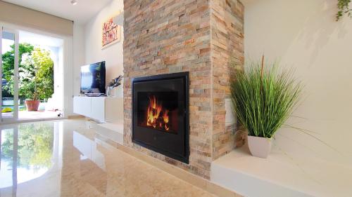 Gemütlicher Kamin mit brennendem Feuer, TV-Bereich und Pflanzen