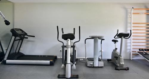 Gemeinschafts-Fitnessraum mit Laufband, Crosstrainer, Vibrationsplatte und Heimtrainer