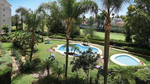 Aerial view of the communal pool surrounded by palm trees and gardens